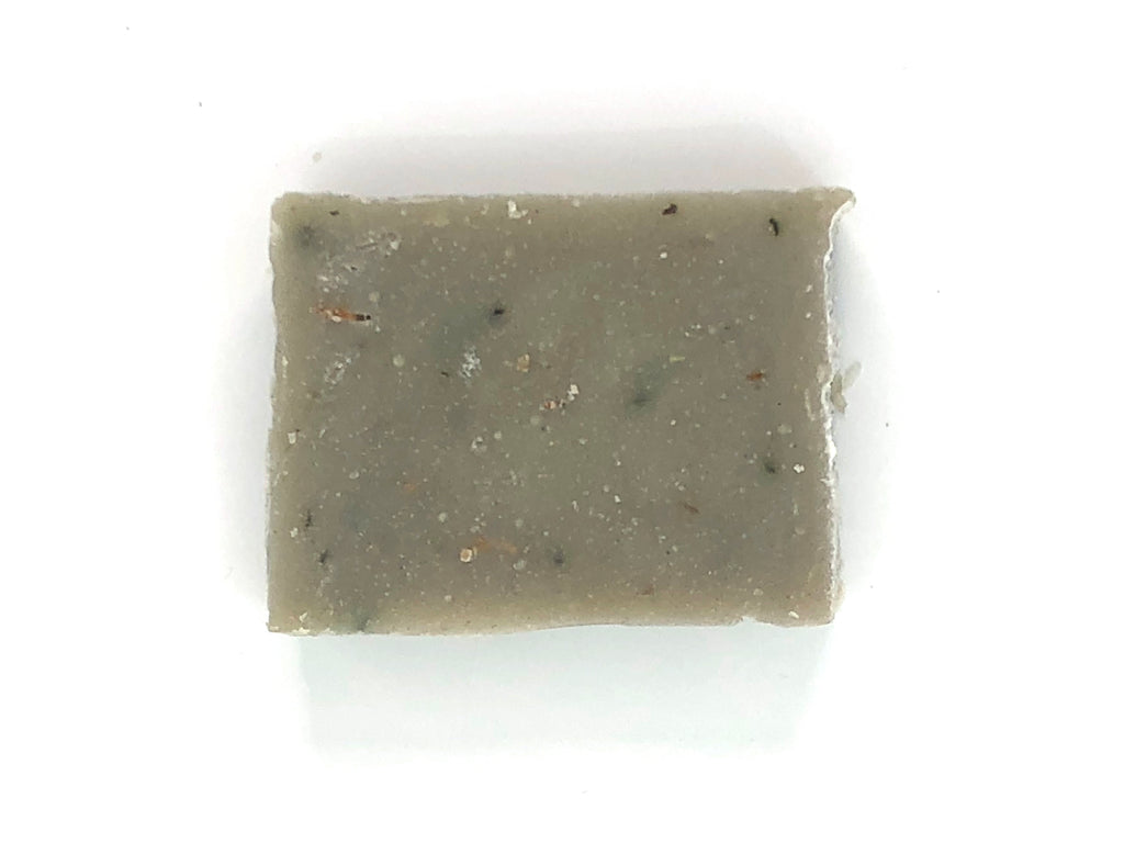 Shampoo + Body Bar  Eucalyptus + Sea Moss + Tea Tree shampoo bar